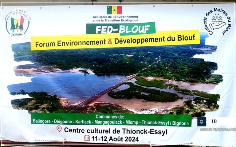 Sénégal : L’ambition du gouvernement d’atténuer « fortement » la déforestation et le trafic illicite de bois en Casamance dévoilée