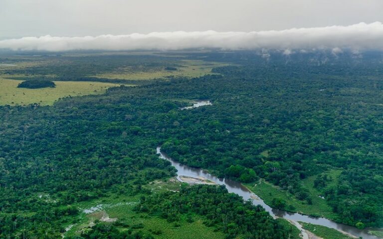 Pourquoi le Bassin du Congo mérite une attention financière accrue