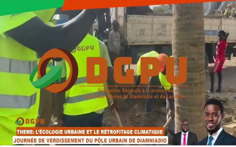 Sénégal : La 3ème édition de la Journée de verdissement du pôle urbain de Diamniadio prévue samedi 31 août 2024