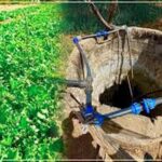 Sénégal : L’horticulture bute sur les difficultés d’accès à la terre et la mauvaise qualité de l’eau à Diourbel