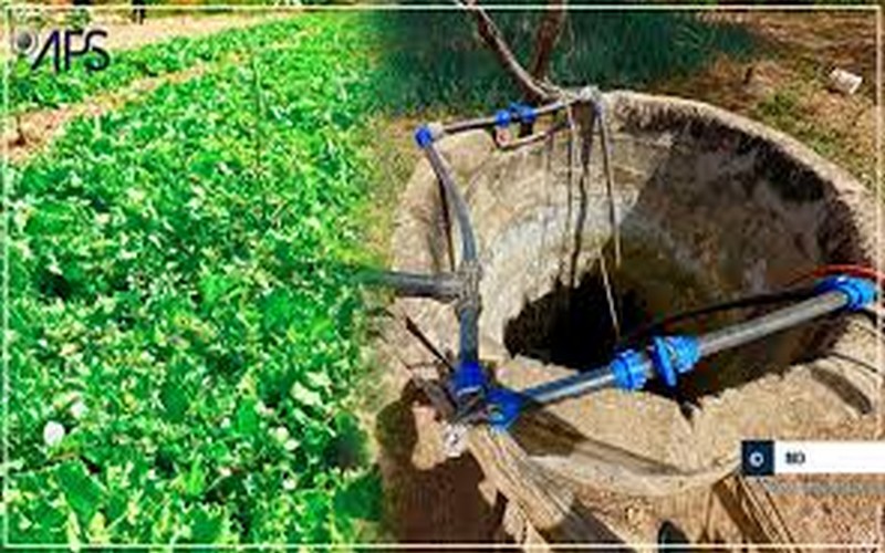 Sénégal : L’horticulture bute sur les difficultés d’accès à la terre et la mauvaise qualité de l’eau à Diourbel