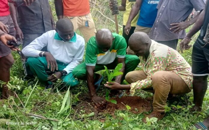 Sénégal Plus de 1 500 arbres plantés dans trois villages de la commune de Oulampane