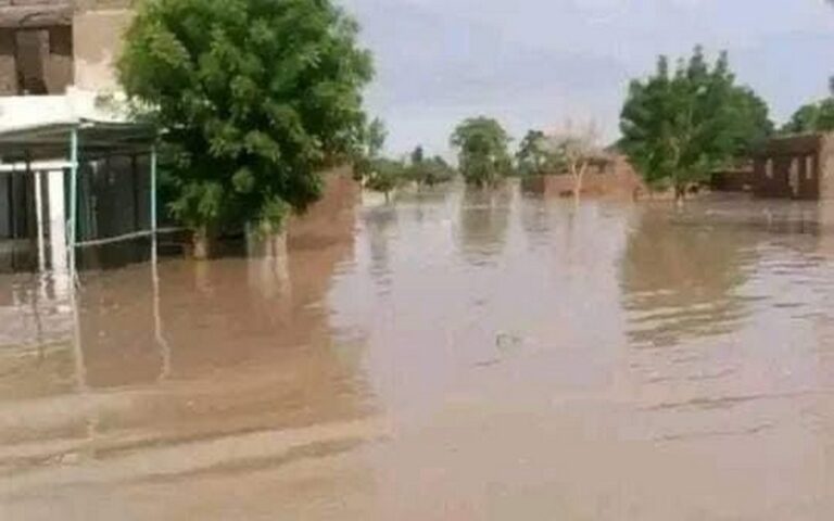 Sénégal : Plusieurs quartiers et champs de Kidira envahis par les eaux de la Falémé
