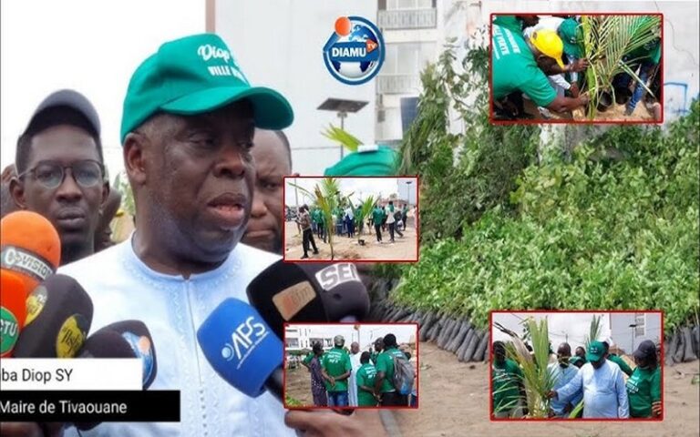 Sénégal : Tivaouane mise sur une campagne de reboisement officiellement lancée pour « changer radicalement le cadre de vie »           