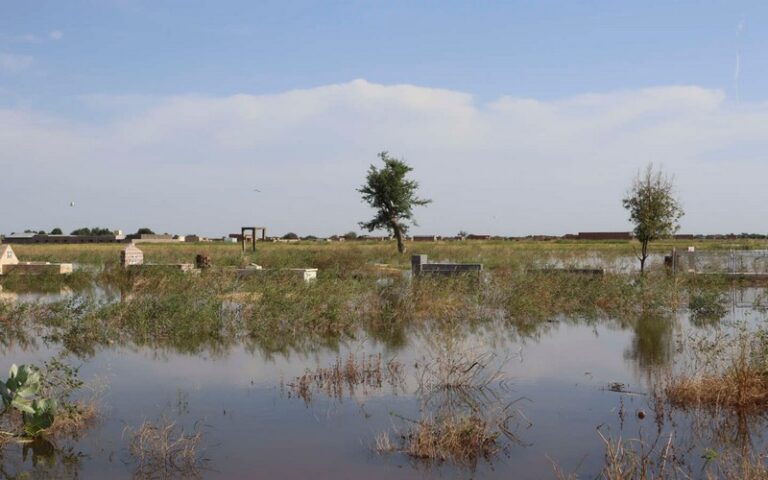 Tchad : Des inondations dans la province du Tibesti font au moins 60 morts