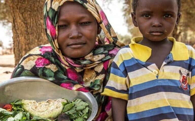 Un tiers de la population mondiale n’a pas les moyens de s’alimenter sainement, se désole la FAO