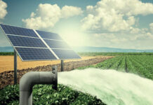 L’Afrique en Mouvement : Quand le Soleil, le Vent et l’Agroécologie Révolutionnent le Continent