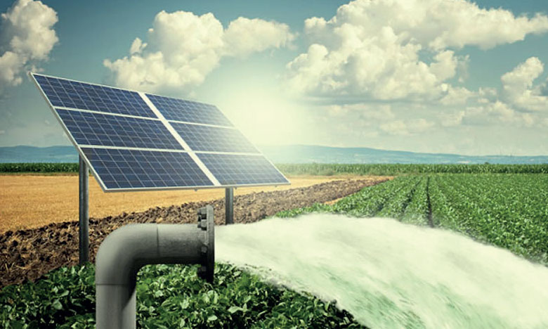 L’Afrique en Mouvement : Quand le Soleil, le Vent et l’Agroécologie Révolutionnent le Continent