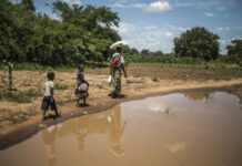 L’Afrique subit le changement climatique « de manière disproportionnée », selon un rapport de l’OMM