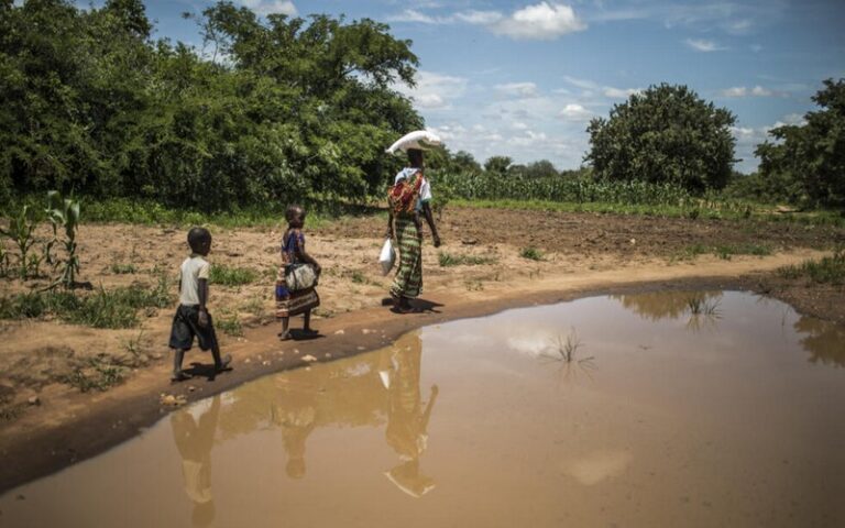 L’Afrique subit le changement climatique « de manière disproportionnée », selon un rapport de l’OMM