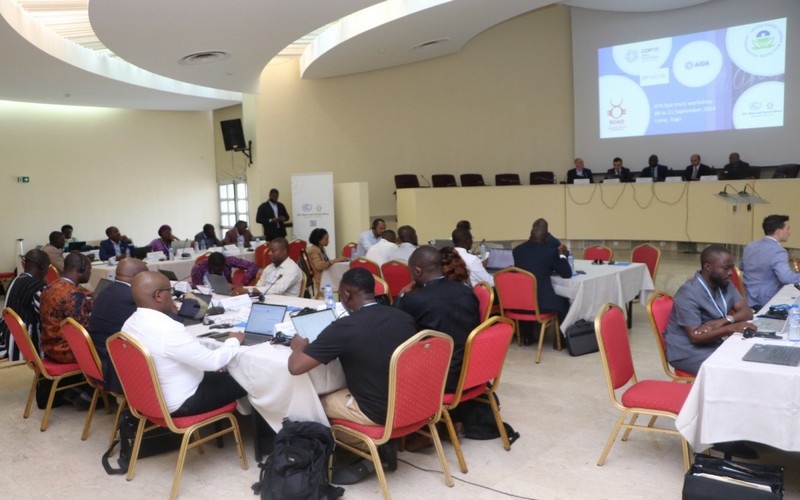 La présidence de la COP29 a organisé des ateliers au Togo et au Kenya