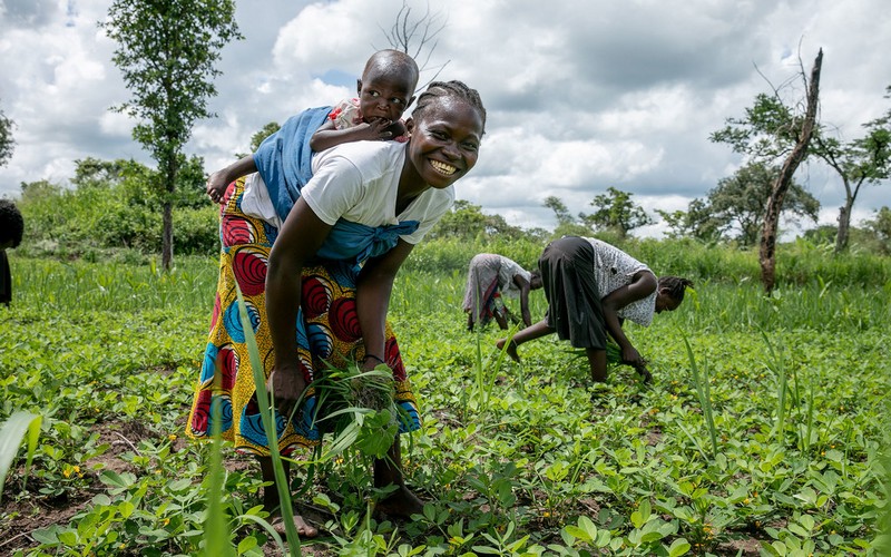 Les efforts de la FAO pour soutenir le secteur agricole soudanais et faire face à l’insécurité alimentaire sapés par les contraintes d’accès, les inondations…