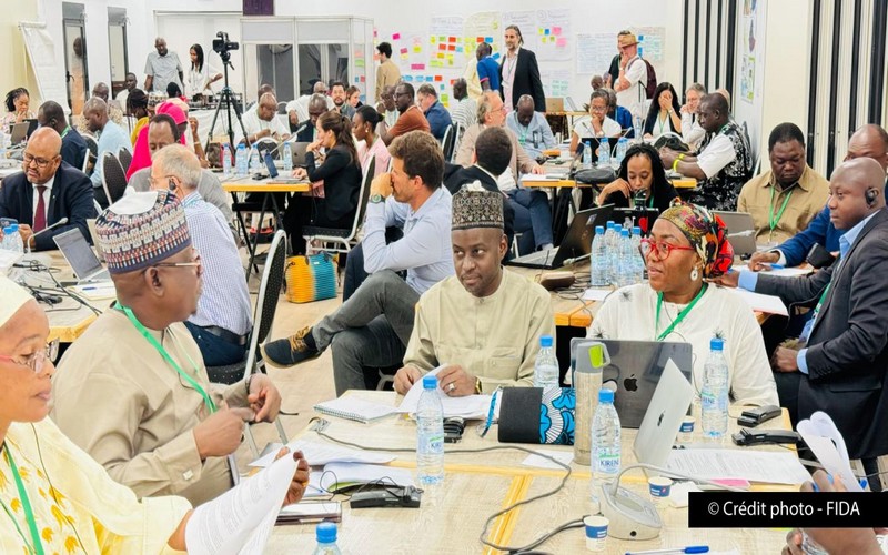 Résilience climatique du Sahel : Le FIDA lance de nouveaux programmes dans le cadre de la Grande Muraille verte