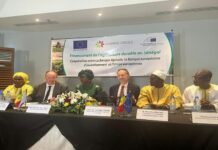 Souveraineté alimentaire : La BEI accorde un prêt de 30 millions € à la LBA pour renforcer le développement des chaînes de valeur agricoles durables au Sénégal