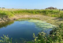 A Bakel (Sénégal), Cheikh Tidiane Dièye promet de soutenir les initiatives locales visant à sauvegarder les lacs et les mares
