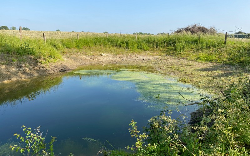 A Bakel (Sénégal), Cheikh Tidiane Dièye promet de soutenir les initiatives locales visant à sauvegarder les lacs et les mares