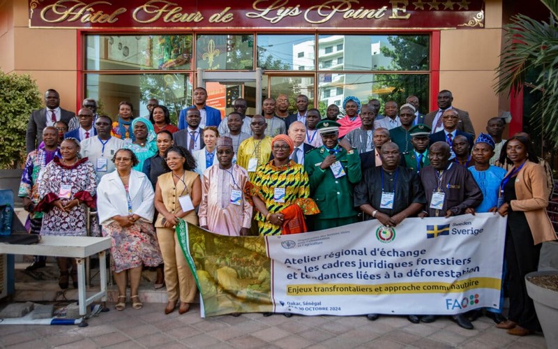 Afrique de l’Ouest : La FAO prône la coopération transfrontalière pour une lutte efficace contre la déforestation