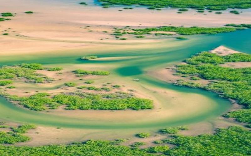 Au Sénégal, l’agropole Sud entre avancées dans l’agriculture et retard dans les infrastructures