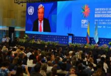 COP16 Biodiversité : Le chef de l’ONU appelle à faire la paix avec la nature