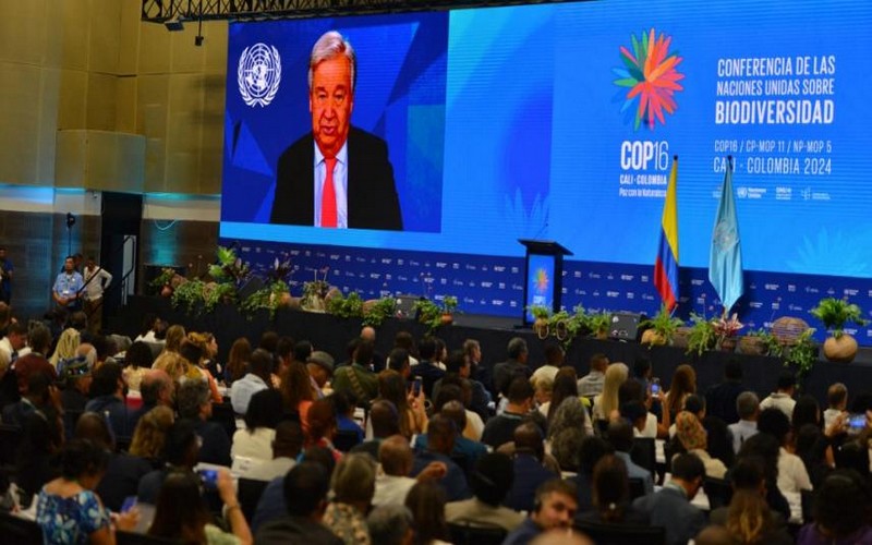 COP16 Biodiversité : Le chef de l’ONU appelle à faire la paix avec la nature