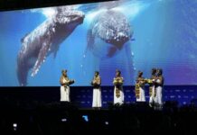 COP16 : Une première semaine dans l’attente d’engagements pour la biodiversité à Cali