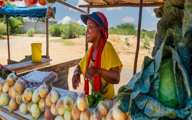 Employabilité des jeunes et des femmes : Le Fonds africain de développement octroie un don de plus de 3,5 millions de dollars au Zimbabwe
