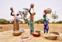 Environ 2,8 milliards de personnes dans le monde n’ont pas accès à une alimentation saine, selon l’ONU