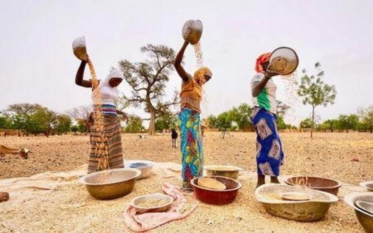 Environ 2,8 milliards de personnes dans le monde n’ont pas accès à une alimentation saine, selon l’ONU