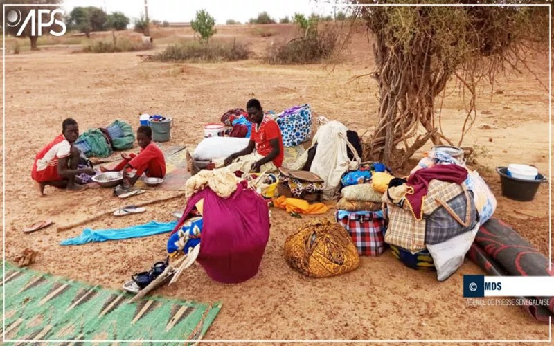 Inondations à Bélli Diallo (Sénégal) : les populations sinistrées en quête de refuges
