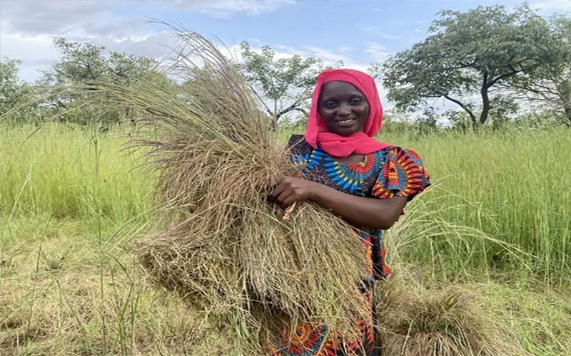 Journée mondiale de l’alimentation : Les plantes africaines « oubliées » au service d’une vie et d’un avenir meilleurs