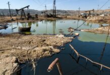 L’Azerbaïdjan, pays hôte de la COP29, ne pourrait pas faire pire pour le climat (et il n’est pas seul)