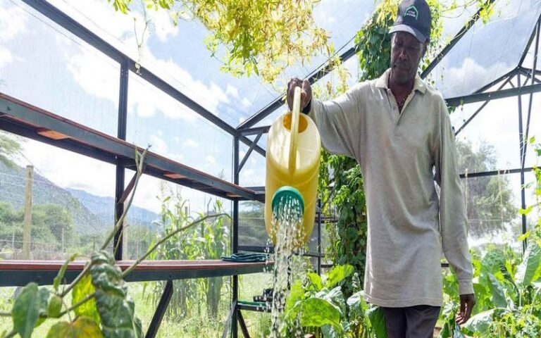 La BAD et le Fonds vert pour le climat collaborent pour soutenir des projets verts et climato-résilients au Rwanda