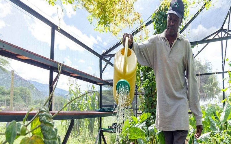 La BAD et le Fonds vert pour le climat collaborent pour soutenir des projets verts et climato-résilients au Rwanda