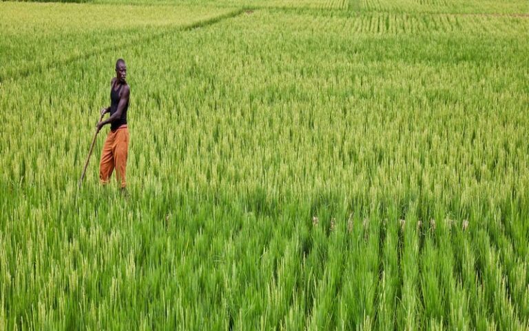 La BAD octroie plus de 323 millions de dollars pour développer l’agriculture, les transports et les échanges commerciaux entre le Burundi et le Rwanda