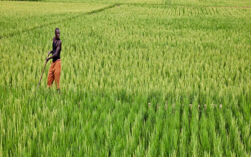 La BAD octroie plus de 323 millions de dollars pour développer l’agriculture, les transports et les échanges commerciaux entre le Burundi et le Rwanda