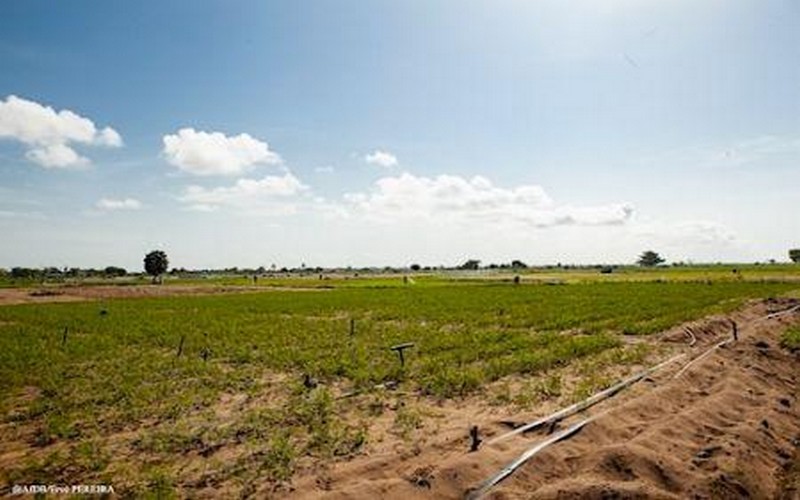 Le Fonds africain de développement contribue à moderniser l’activité agricole dans la vallée de l’Ouémé au Bénin