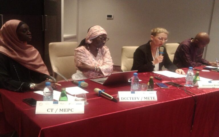 Le Sénégal lance la deuxième phase de la taxonomie verte et évoque l’implication du secteur privé  
