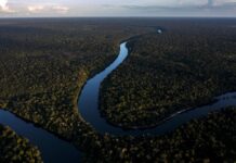 Ouverture de la COP16 sur la biodiversité à Cali : Les États sommés de transformer les paroles en actes