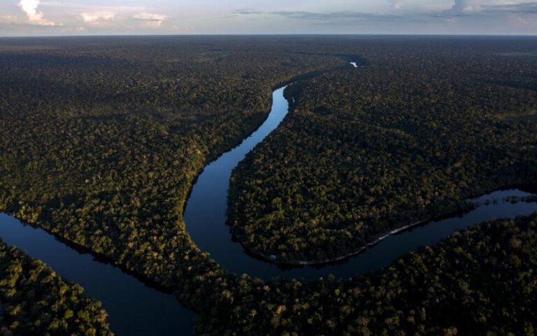 Ouverture de la COP16 sur la biodiversité à Cali : Les États sommés de transformer les paroles en actes