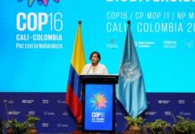 Que peut-on attendre de la 16ème Conférence mondiale (COP16) sur la biodiversité qui s’ouvre en Colombie ?