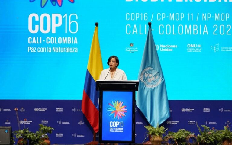 Que peut-on attendre de la 16ème Conférence mondiale (COP16) sur la biodiversité qui s’ouvre en Colombie ?