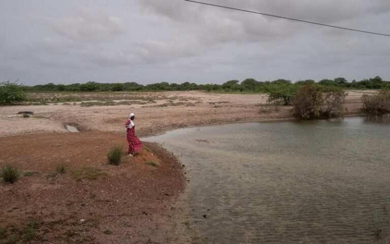 Sénégal : Dans les Niayes, l’eau se fait rare et sa gestion devient l’affaire des citoyens
