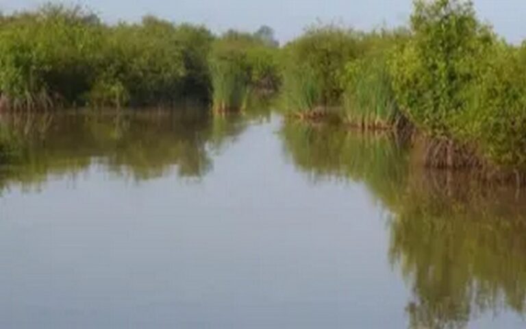 Sénégal : Les comités de gestion d’Aires marines protégées de Ziguinchor dotés de vedettes et d’équipements de protection