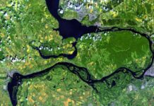 Un atlas mondial des écosystèmes dévoilé lors de la COP 16 biodiversité