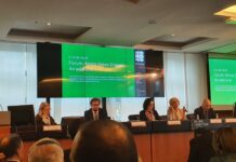 4ème Édition du Forum Africa Green Growth 2024 : Un Partenariat pour la Transition Énergétique en Afrique