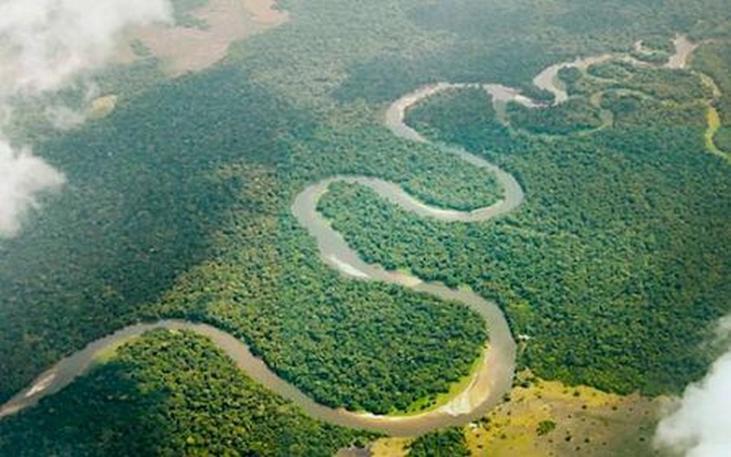 A Bakou, la BAD met en avant la « richesse verte de l’Afrique »