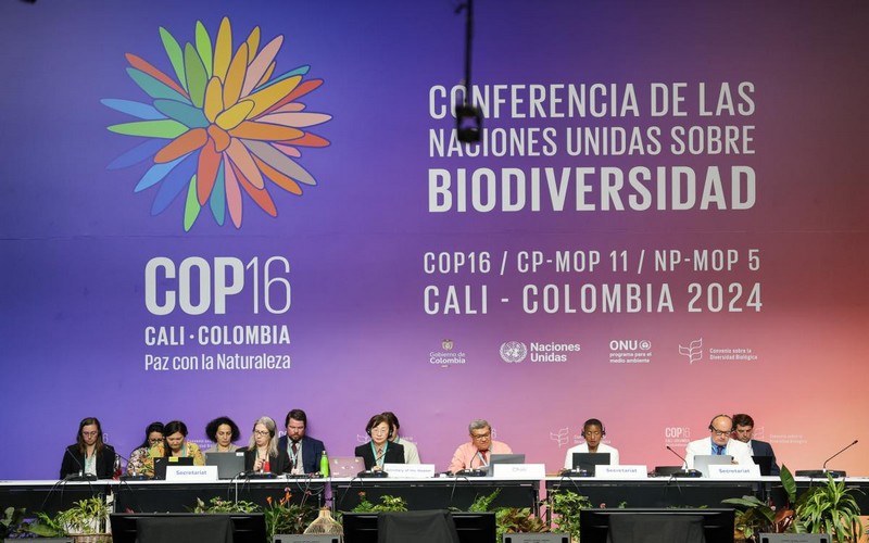 COP16 Biodiversité à Cali : Vers un Partage Juste des Ressources Génétiques et des Financements Accrus pour la Conservation