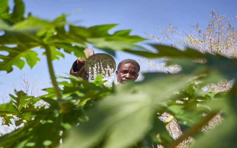 COP29 : Comment le financement climatique pourrait favoriser la prospérité et la paix en Afrique