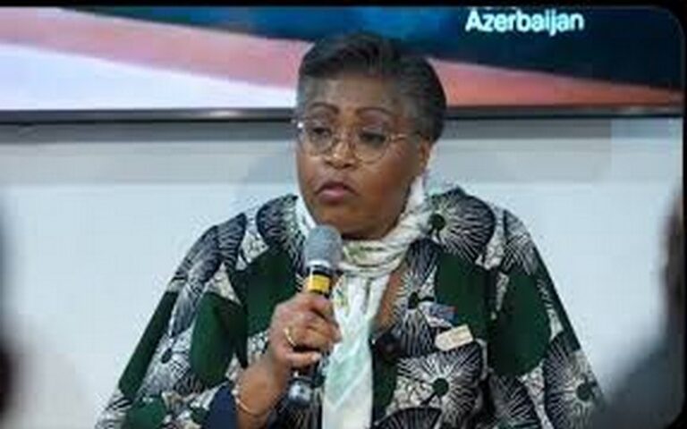 COP29 : Judith Suminwa Tuluka appelle à un financement accru pour la transition climatique des pays africains