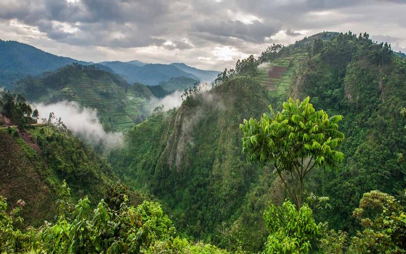 COP29 : L’Afrique au centre des débats sur le financement climatique et la valorisation du capital naturel